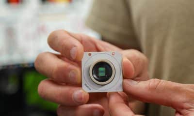 Tal Sharf, investigador en la Escuela de Ingeniería Baskin, sostiene un chip de matriz de microelectrodos basado en CMOS que se utiliza para localizar con precisión la actividad eléctrica de neuronas individuales dentro de tejido organoidal de tamaño milimétrico. Fotografía facilitada por Carolyn Lagattuta/ UC Santa Cruz.