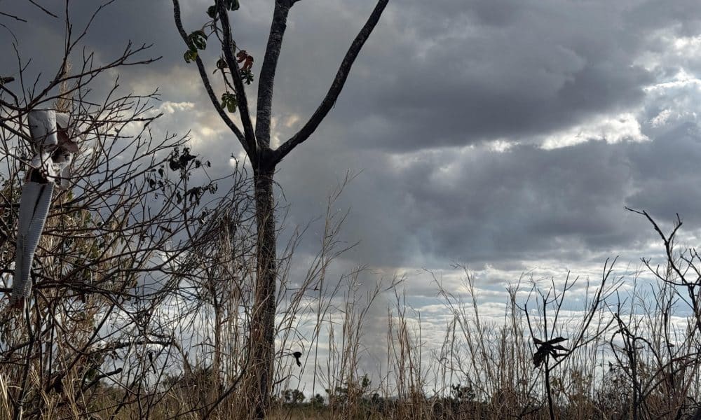 Los brigadistas comunitarios de Brasil enfrentan en la actualidad crecientes dificultades derivadas de sus precarias condiciones laborales y de la falta de financiamiento. EFE/ Ana María Vela/Fundación Avina
