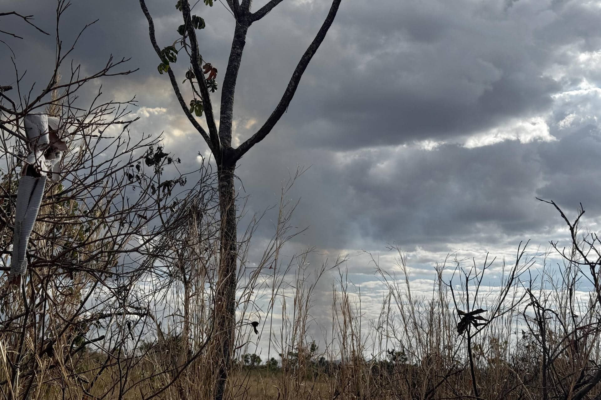 Los brigadistas comunitarios de Brasil enfrentan en la actualidad crecientes dificultades derivadas de sus precarias condiciones laborales y de la falta de financiamiento. EFE/ Ana María Vela/Fundación Avina