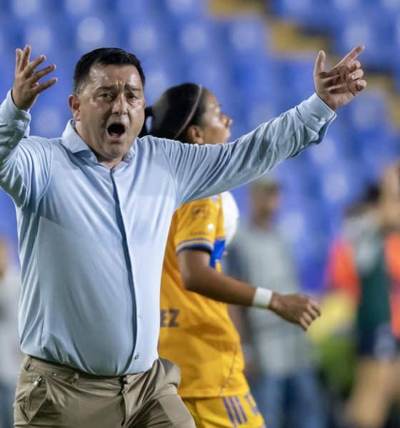 Pedro Martinez Losa entrenador de Tigres femenil reacciona en una jugada en el Estadio Universitario, en Monterrey (México). Fotografía de archivo. EFE/Miguel Sierra