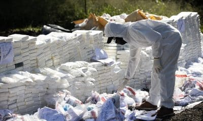 Integrantes del Instituto Nacional de Ciencias Forenses (Inacif) revisan cocaína confiscada, este jueves en Santo Domingo (República Dominicana). EFE/ Orlando Barría