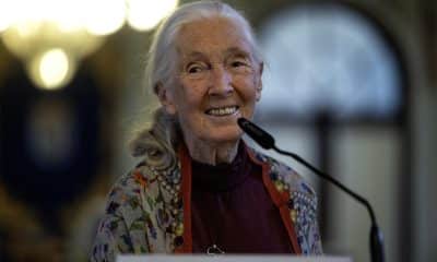 Foto de archivo de la etóloga Jane Goodall. EFE/Jorge Zapata.