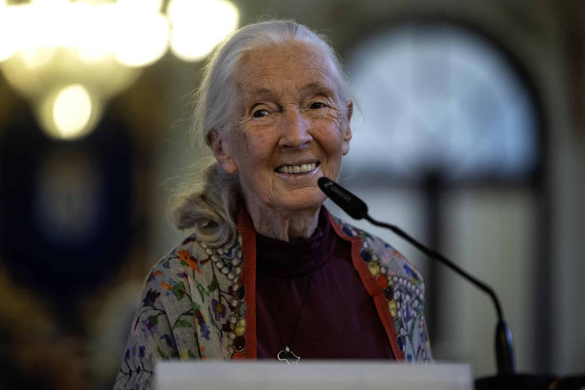Foto de archivo de la etóloga Jane Goodall. EFE/Jorge Zapata.