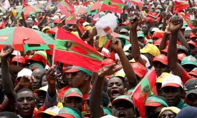 Seguidores del líder del partido opositor Unión Nacional para la Independencia Total de Angola (UNITA). Archivo EFE