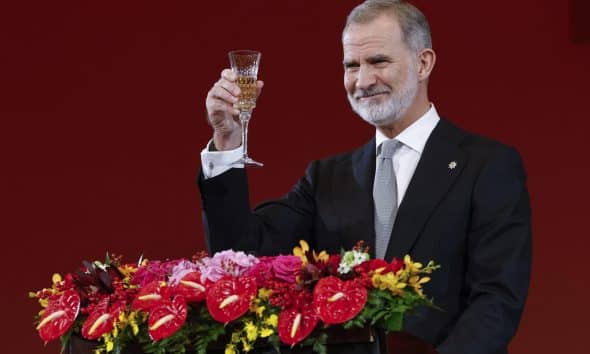 El rey Felipe VI ibrinda durante la cena de gala ofrecida por el presidente chino, Xi Jinping. EFE/ Chema Moya