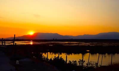 Fotografía sin fecha específica de toma cedida este viernes, 7 de noviembre, por la Sociedad Chilena de Historia y Geografía de una vista general del Humedal de Quilicura, en Santiago de Chile. EFE/Miguel Mora/ Sociedad Chilena de Historia y Geografía