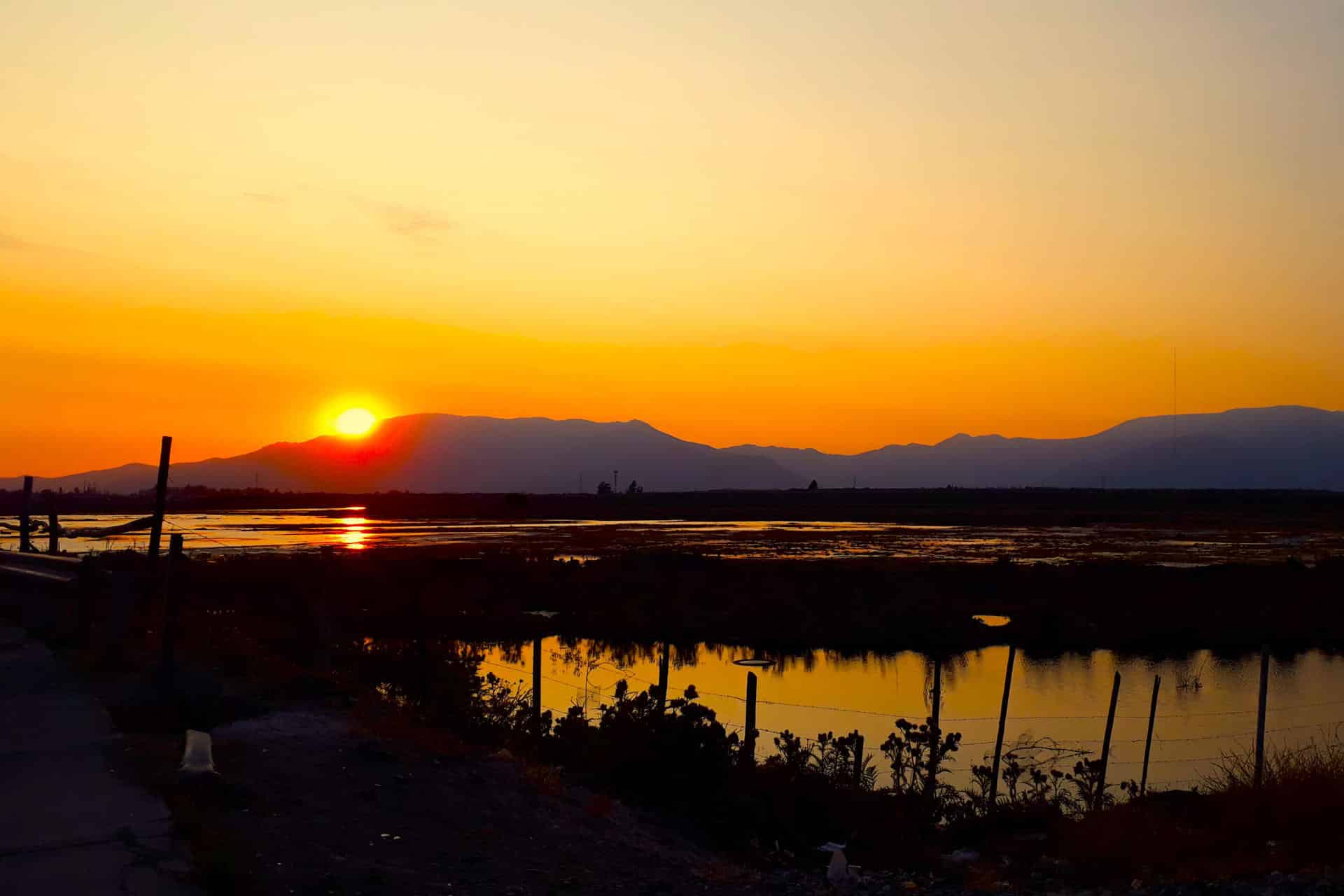 Fotografía sin fecha específica de toma cedida este viernes, 7 de noviembre, por la Sociedad Chilena de Historia y Geografía de una vista general del Humedal de Quilicura, en Santiago de Chile. EFE/Miguel Mora/ Sociedad Chilena de Historia y Geografía
