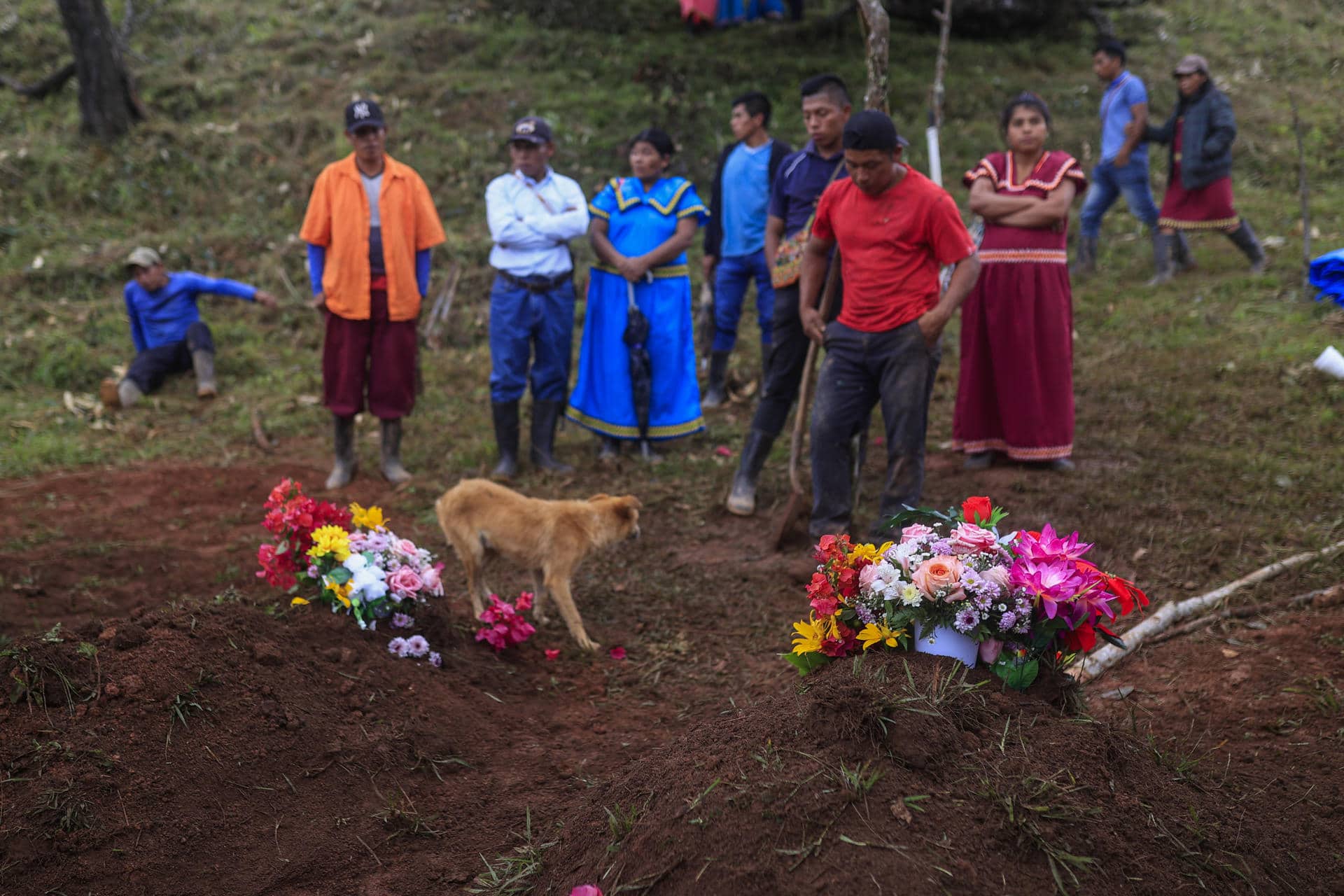 Personas oran acompañados por un perro este viernes, en el cementerio del poblado de Cascabel, distrito de Mironó, en la comarca Ngäbe Buglé (Panamá). EFE/ Bienvenido Velasco