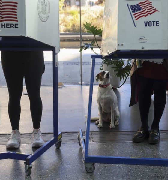 EFE/EPA/SARAH YENESEL