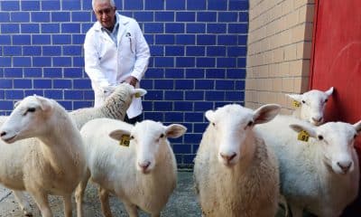 El doctor José Ernesto Hernández Pichardo habla durante una entrevista con EFE el 16 de noviembre de 2025, en Ciudad de México (México). EFE/Mario Guzmán