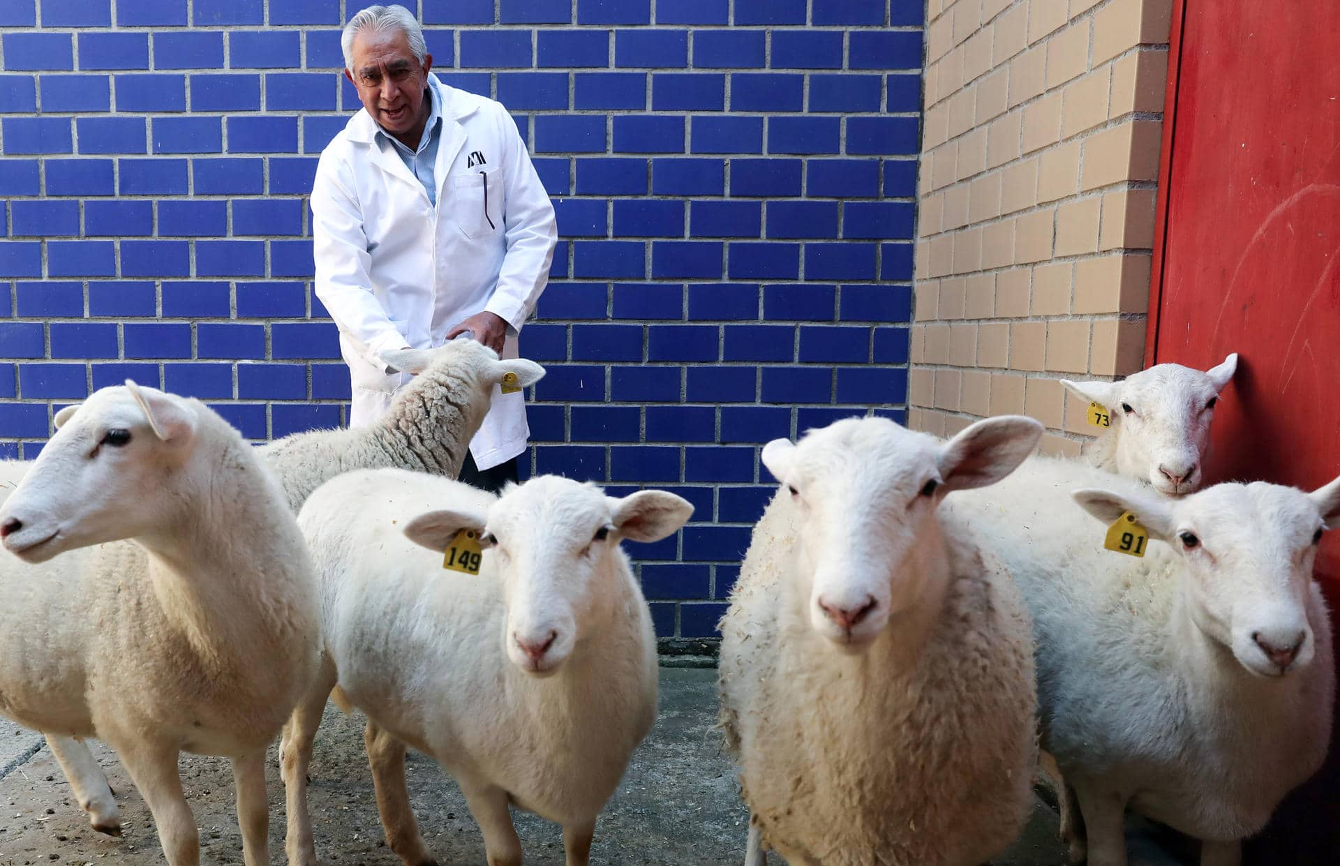 El doctor José Ernesto Hernández Pichardo habla durante una entrevista con EFE el 16 de noviembre de 2025, en Ciudad de México (México). EFE/Mario Guzmán