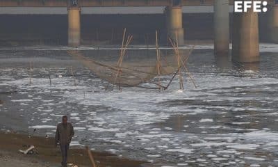 La vida alrededor del río Yamuna, uno de los más sagrados y contaminados de la India, que a su paso por Nueva Delhi sigue siendo escenario de rituales y pesca, cubierto por una capa de espuma tóxica que se extiende más de 500 metros, mientras del agua se desprende un olor químico que cada año hace el paisaje más peligroso. EFE/ Marta Teixidó