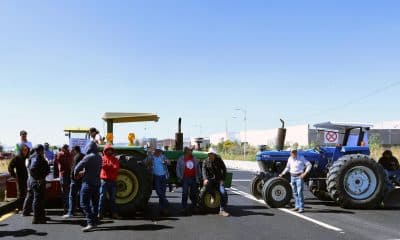 Agricultores y transportistas mexicanos anunciaron este martes un paro nacional para el próximo lunes 24 de noviembre, ante la falta de acuerdos con el gobierno respecto a sus demandas de establecer un precio fijo para el maíz y frenar la inseguridad en las carreteras. Fotografía de archivo. EFE/ Luis Ramírez