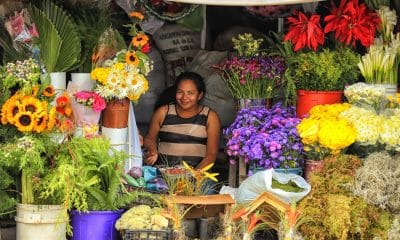 Una mujer vende flores este lunes, durante la Feria del Artesano y el Agricultor en Tegucigalpa (Honduras). EFE/ Gustavo Amador