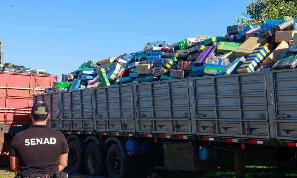 Un integrante de la Secretaría Nacional Antidrogas de Paraguay custodia el proceso de pesaje de marihuana incautada este jueves, en Saltos del Guairá (Paraguay). EFE/ Secretaría Nacional Antidrogas de Paraguay