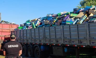 Un integrante de la Secretaría Nacional Antidrogas de Paraguay custodia el proceso de pesaje de marihuana incautada este jueves, en Saltos del Guairá (Paraguay). EFE/ Secretaría Nacional Antidrogas de Paraguay