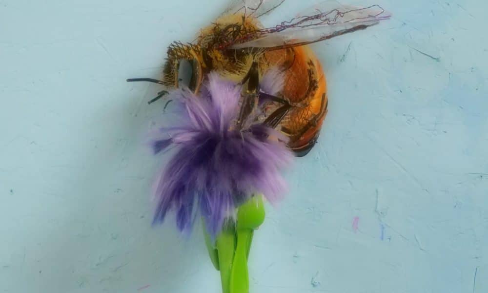 Fotografía cedida por Pinta Art donde se aprecia la obra 'HoneyBee' ('Abeja melífera'), del artista Thomas Deininger, que participará en la sección oficial de la feria de arte Pinta Miami, en el marco de la Semana del Arte de Miami, Florida (Estados Unidos). EFE/ Pinta Art