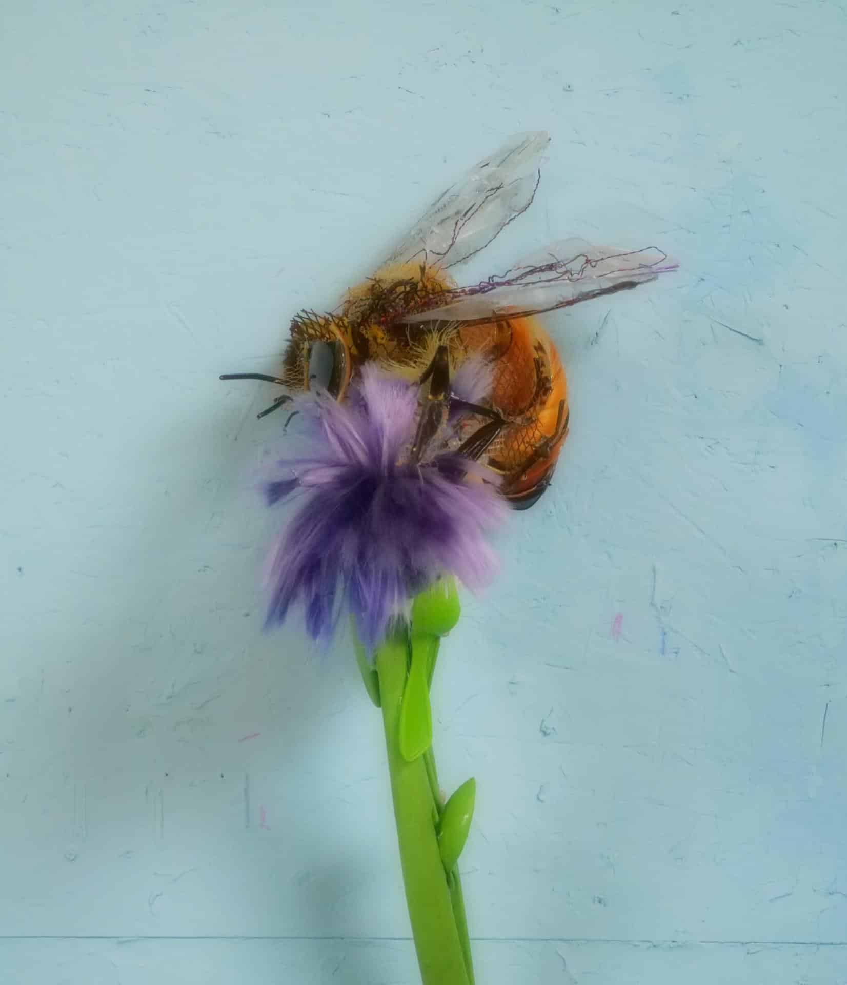 Fotografía cedida por Pinta Art donde se aprecia la obra 'HoneyBee' ('Abeja melífera'), del artista Thomas Deininger, que participará en la sección oficial de la feria de arte Pinta Miami, en el marco de la Semana del Arte de Miami, Florida (Estados Unidos). EFE/ Pinta Art
