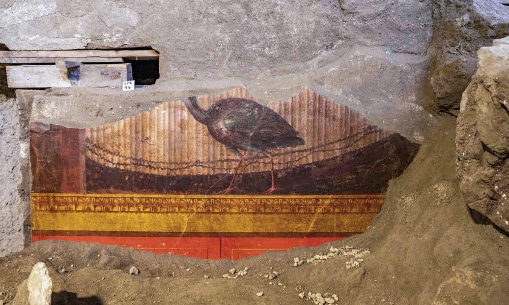 Un proyecto de restauración en la Villa di Poppea, en Torre Annunziata (sur de Italia), ha revelado frescos inéditos que muestran el esplendor artístico y arquitectónico del Imperio romano, en una residencia atribuida a la segunda esposa del emperador Nerón. EFE/Parque Arqueológico de Pompeya***SOLO USO EDITORIAL/SOLO DISPONIBLE PARA ILUSTRAR LA NOTICIA QUE ACOMPAÑA (CRÉDITO OBLIGATORIO)***