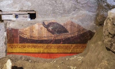 Un proyecto de restauración en la Villa di Poppea, en Torre Annunziata (sur de Italia), ha revelado frescos inéditos que muestran el esplendor artístico y arquitectónico del Imperio romano, en una residencia atribuida a la segunda esposa del emperador Nerón. EFE/Parque Arqueológico de Pompeya***SOLO USO EDITORIAL/SOLO DISPONIBLE PARA ILUSTRAR LA NOTICIA QUE ACOMPAÑA (CRÉDITO OBLIGATORIO)***