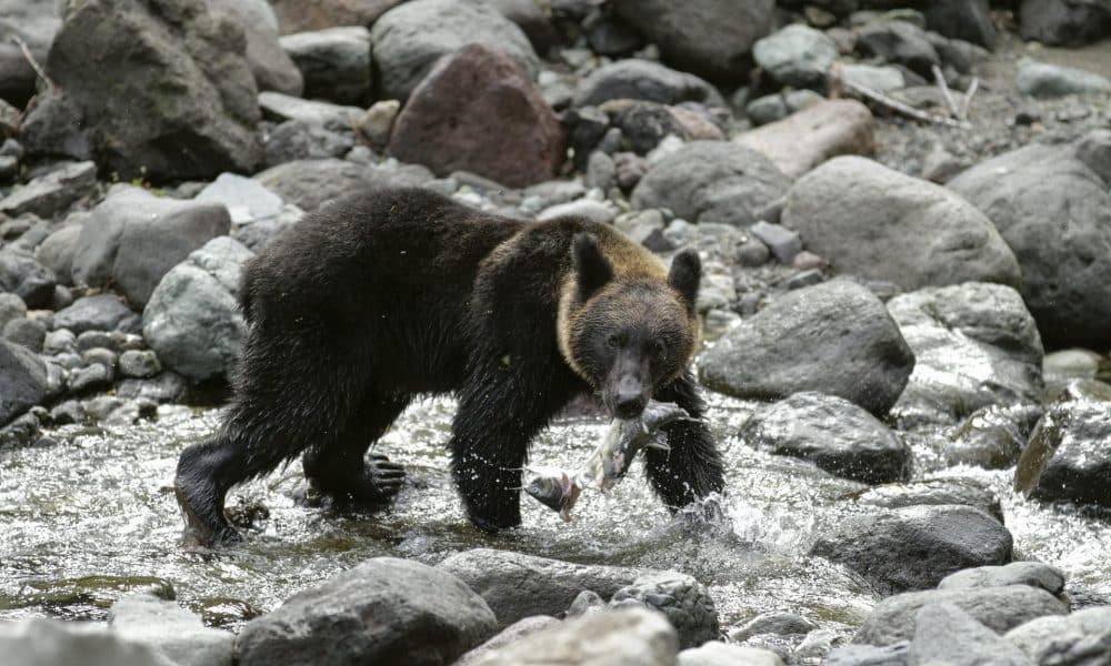 EPA/KIMIMASA MAYAMA/Archivo
