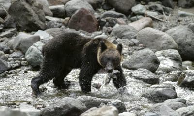 EPA/KIMIMASA MAYAMA/Archivo