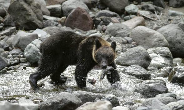 EPA/KIMIMASA MAYAMA/Archivo