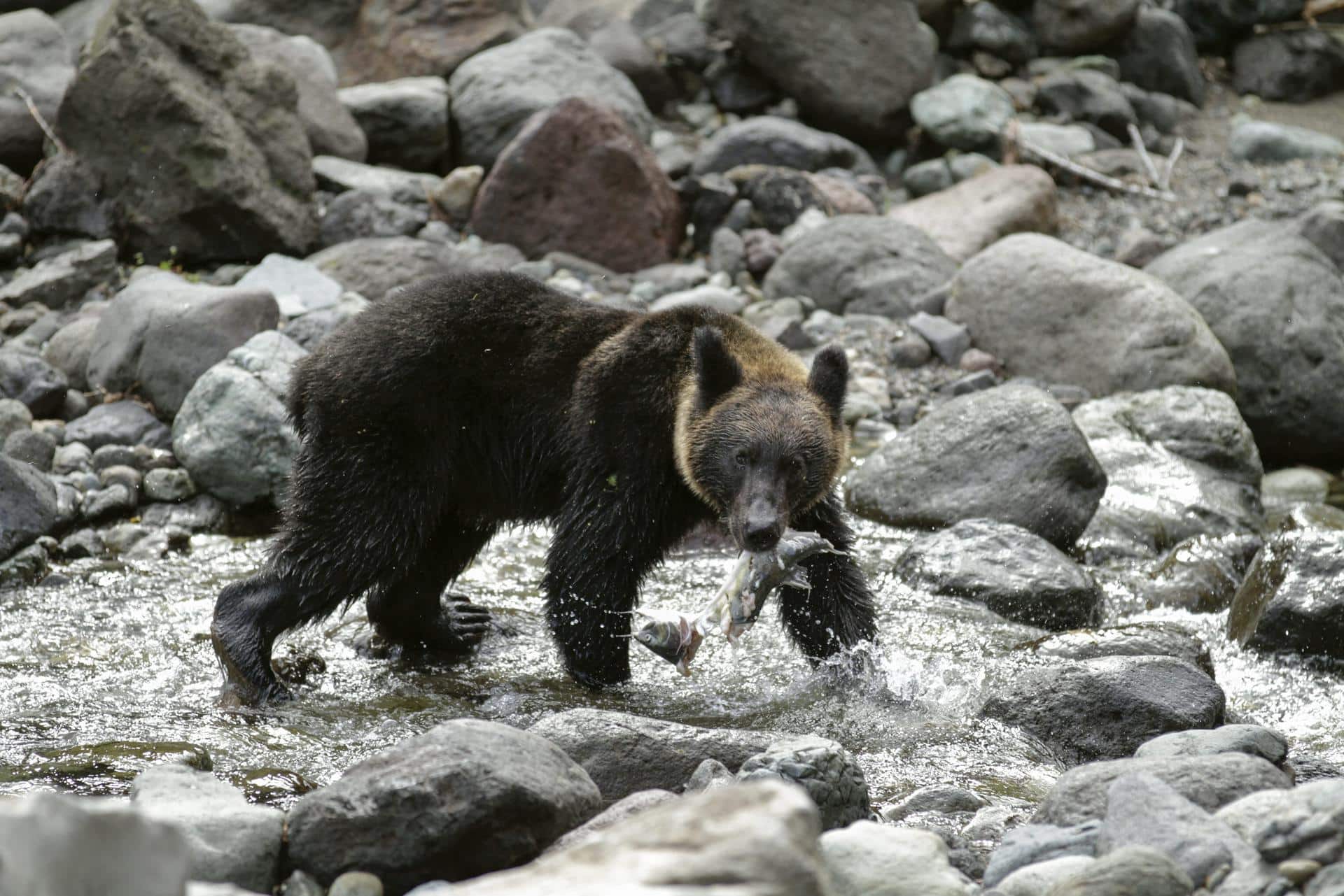 EPA/KIMIMASA MAYAMA/Archivo