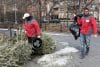 Los trabajadores del NYC Trees Víctor (i) y César retiran arboles de Navidad este martes, en Nueva York (Estados Unidos). EFE/ Sarah Yáñez-richards
