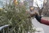 Fotografía que muestra arboles de Navidad este martes, en Union Square, Nueva York (Estados Unidos). EFE/ Angel Colmenares
