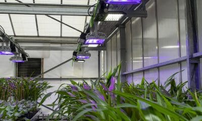 El CBGP cuenta con unas instalaciones de 1900 m2 acondicionadas para el cultivo de plantas en condiciones controladas, entre ellas, un invernadero de 1200 m2, con sistemas de climatización e iluminación específicos que permiten desarrollar varias investigaciones a la vez.
