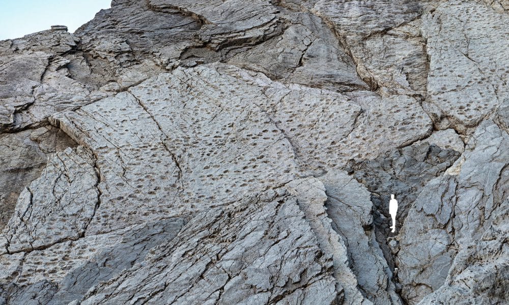 En el Parque Nacional de Stelvio, en los Dolomitas italianos, se ha descubierto lo que todos llaman ya el valle de los dinosaurios: miles de huellas fósiles estampadas en las paredes verticales inaccesibles de la montaña por los llamados 'prosaurópodos', dinosaurios herbívoros de cuello largo que poblaron estas zonas hace 210 millones de años, en el Triásico Tardío. EFE/ Elio Della Ferrera // SOLO USO EDITORIAL/SOLO DISPONIBLE PARA ILUSTRAR LA NOTICIA QUE ACOMPAÑA (CRÉDITO OBLIGATORIO)