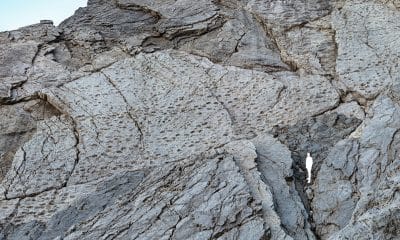 En el Parque Nacional de Stelvio, en los Dolomitas italianos, se ha descubierto lo que todos llaman ya el valle de los dinosaurios: miles de huellas fósiles estampadas en las paredes verticales inaccesibles de la montaña por los llamados 'prosaurópodos', dinosaurios herbívoros de cuello largo que poblaron estas zonas hace 210 millones de años, en el Triásico Tardío. EFE/ Elio Della Ferrera // SOLO USO EDITORIAL/SOLO DISPONIBLE PARA ILUSTRAR LA NOTICIA QUE ACOMPAÑA (CRÉDITO OBLIGATORIO)