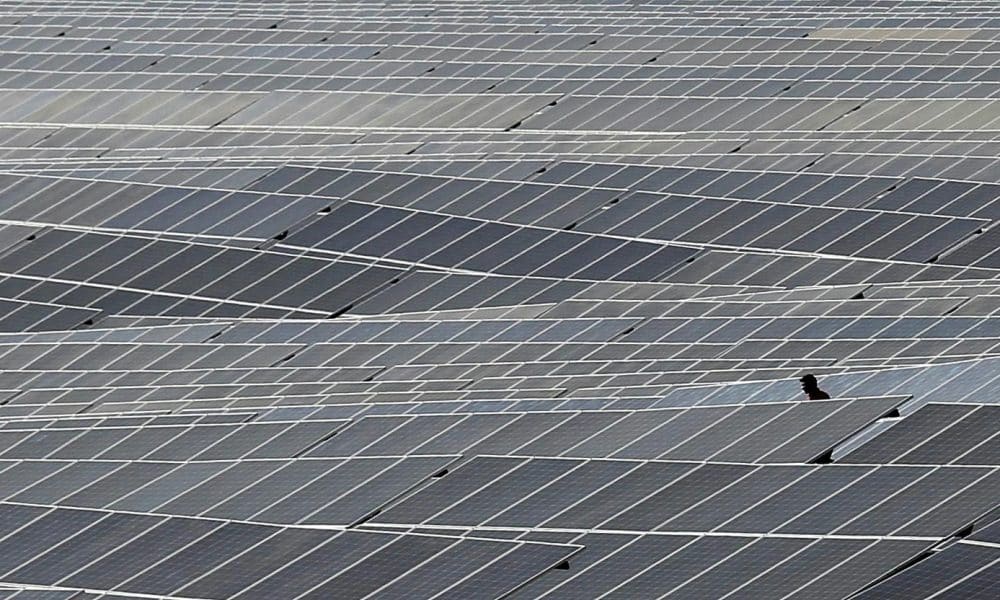 Un operario camina entre paneles solares en India. EFE/ Jagadeesh NV