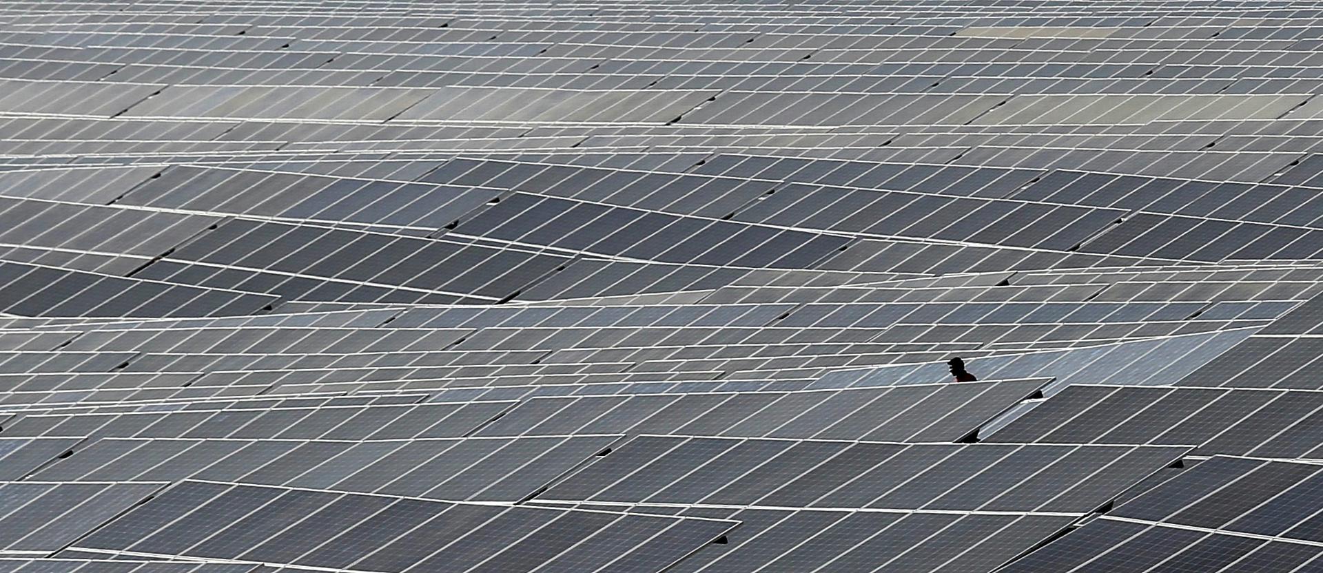 Un operario camina entre paneles solares en India. EFE/ Jagadeesh NV