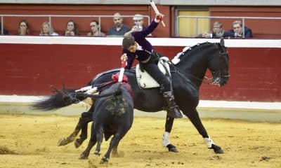 El rejoneador Guillermo Hermoso durante la corrida de la Feria de San Mateo celebrada este lunes en la plaza de toros de La Ribera, en Logroño. Imagen de archivo. EFE/Raquel Manzanares