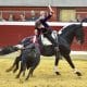 El rejoneador Guillermo Hermoso durante la corrida de la Feria de San Mateo celebrada este lunes en la plaza de toros de La Ribera, en Logroño. Imagen de archivo. EFE/Raquel Manzanares