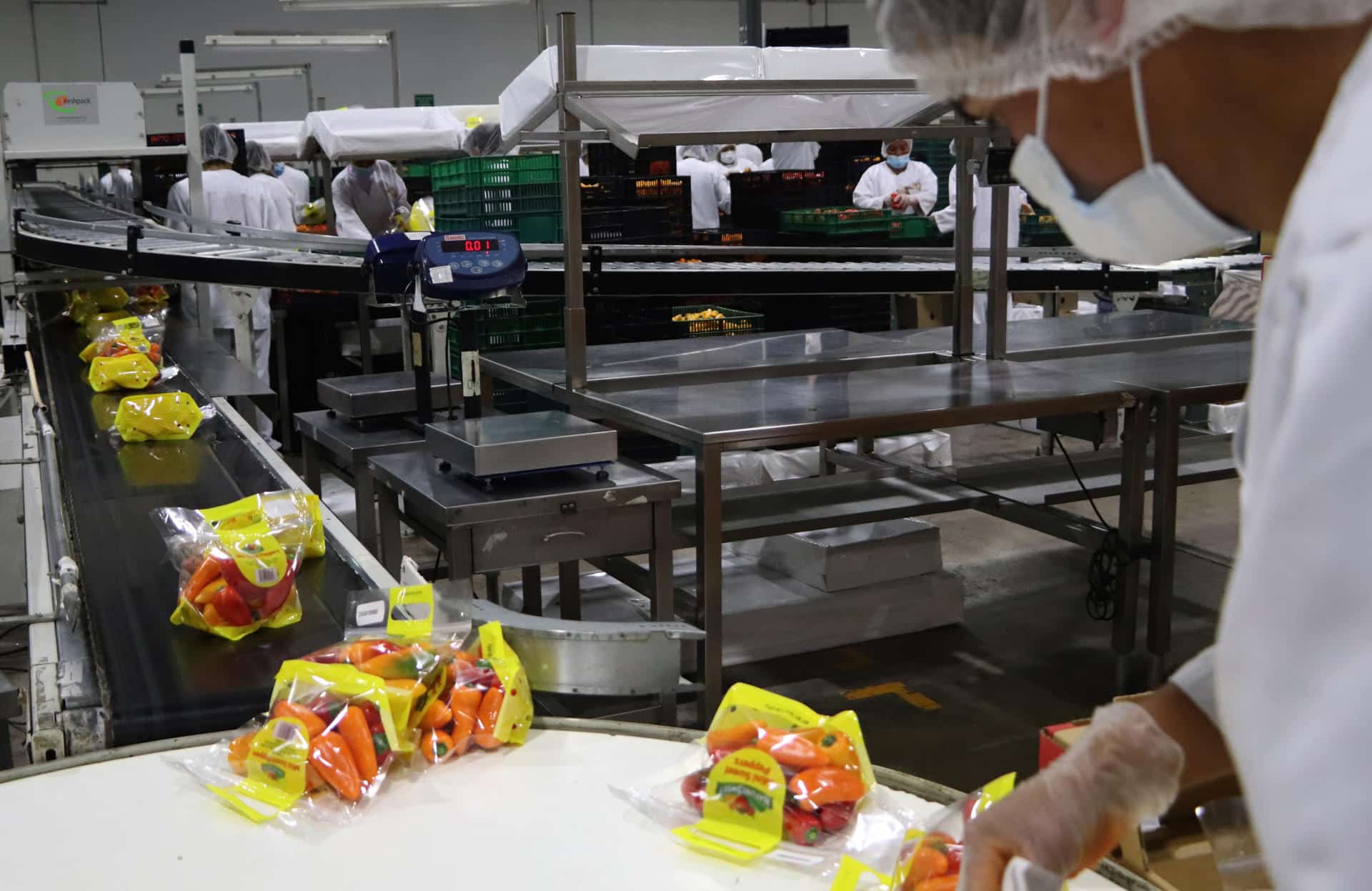 Fotografía cedida por la Secretaría de Agricultura y Desarrollo Rural (Sader) que muestra a trabajadores en una empresa empacadora de alimentos este domingo, en Ciudad de México (México). EFE/ Secretaría de Agricultura y Desarrollo Rural