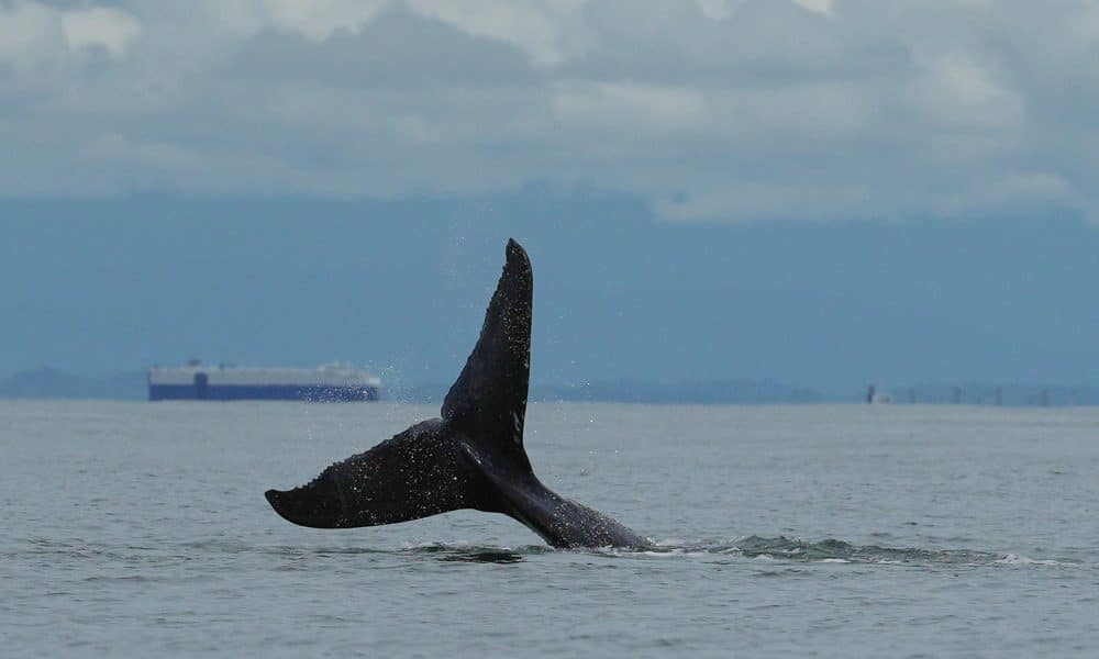 Imagen de archivo. EFE/ Ernesto Guzmán