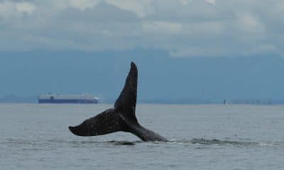 Imagen de archivo. EFE/ Ernesto Guzmán