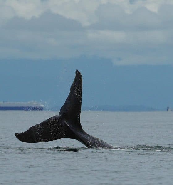 Imagen de archivo. EFE/ Ernesto Guzmán