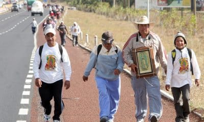 Peregrinos caminan por una autopista previo a los festejos de la Virgen de Guadalupe. Imagen de archivo. EFE/Ulises Ruiz.