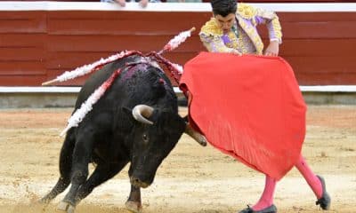 El torero español Marco Pérez lidia el toro 'Sombrerito' de la ganadería de Juan Bernardo Caicedo, este 26 de diciembre de 2025 en Cali (Colombia). EFE/ Ernesto Guzmán