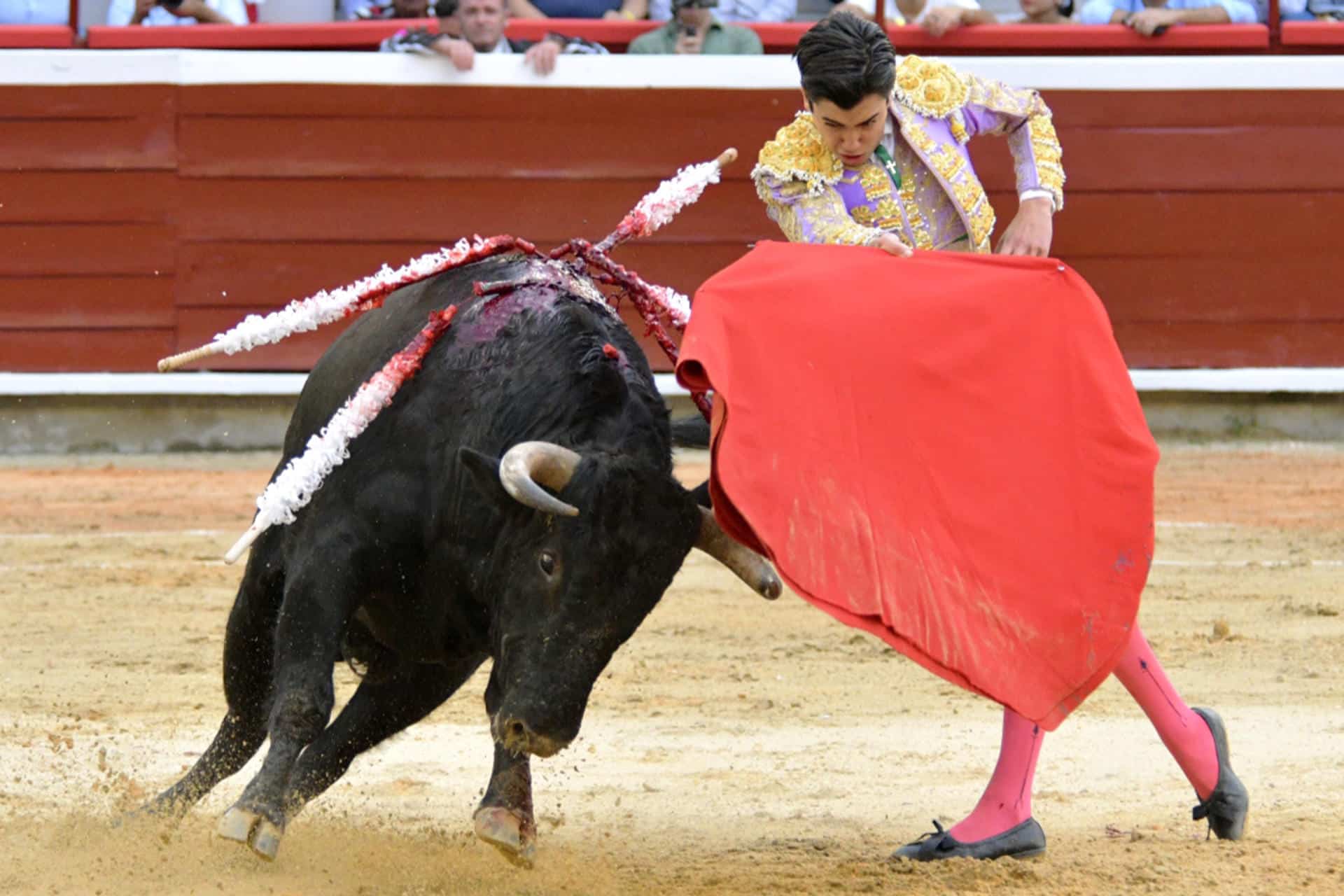 El torero español Marco Pérez lidia el toro 'Sombrerito' de la ganadería de Juan Bernardo Caicedo, este 26 de diciembre de 2025 en Cali (Colombia). EFE/ Ernesto Guzmán