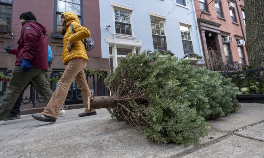 Personas caminan carca de arboles de Navidad este martes, en Greenwich Village New, Nueva York (Estados Unidos). EFE/ Angel Colmenares