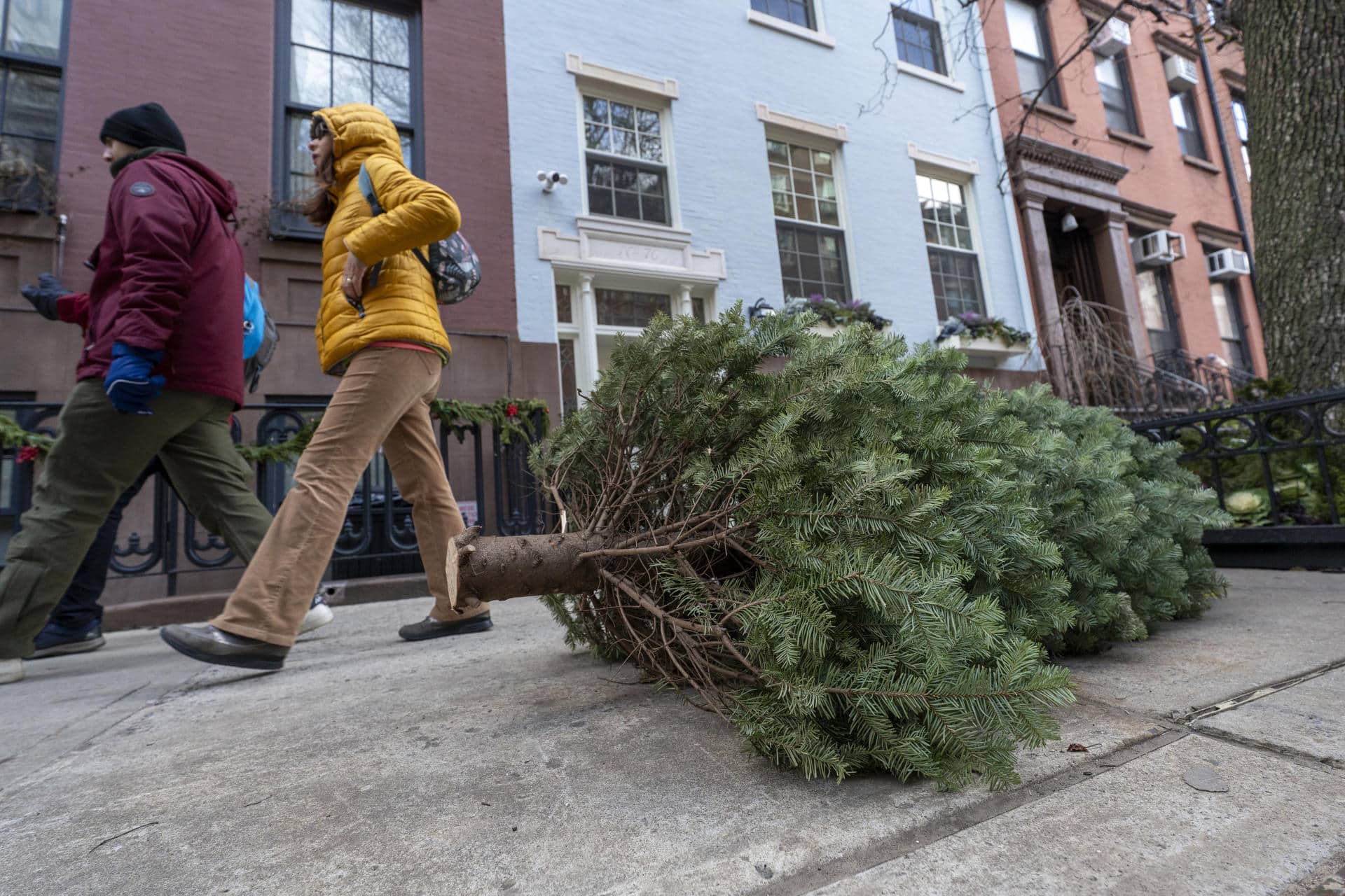 Personas caminan carca de arboles de Navidad este martes, en Greenwich Village New, Nueva York (Estados Unidos). EFE/ Angel Colmenares