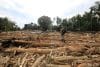 MEURUDU (Indonesia), 02/12/2025.- A person walks through a pile of wood swept away in a flood-affected village in the Meureudu area, Pidie Jaya, Aceh, Indonesia, 02 December 2025. According to the National Disaster Management Agency, Floods and landslides triggered by Tropical Cyclone Senyar have killed more than 600 people across Aceh, North Sumatra, and West Sumatra provinces. (Inundaciones) EFE/EPA/HOTLI SIMANJUNTAK GRAPHIC IMAGE
