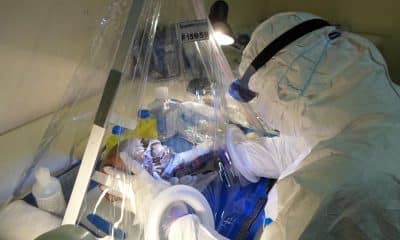 Helena Malmström, investigadora de la Universidad de Uppsala, tomando muestras para el estudio.Crédito: Alexandra Coutinho