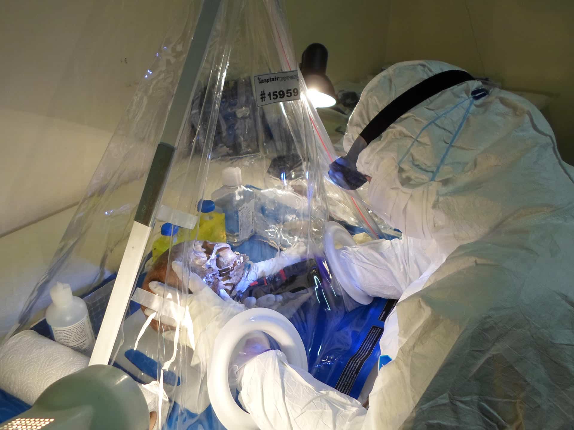 Helena Malmström, investigadora de la Universidad de Uppsala, tomando muestras para el estudio.Crédito: Alexandra Coutinho