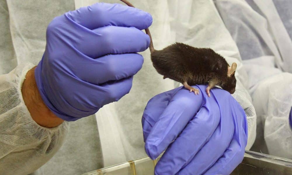 EFE/Toni Garriga/Archivo